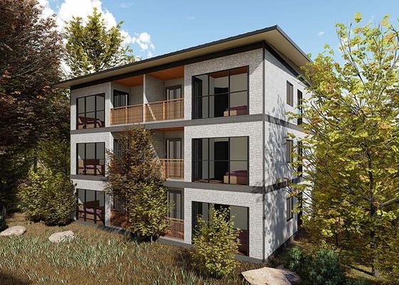 NS/US Standard Prefabricated Steel House Light Steel Frame Movable Apartment Custom House With New Design