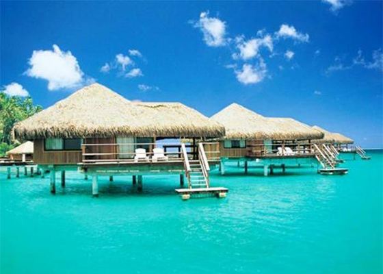 Стальные каркасные дома с деревянной отделкой, комплекты сборных домов-бунгало